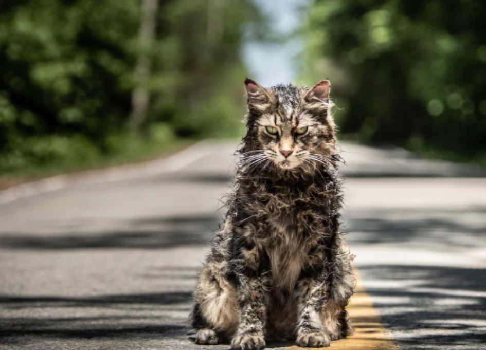 Pet-Sematary
