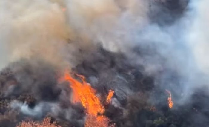 Los Angeles wildfires rage; force thousands to evacuate - Reel 360 News