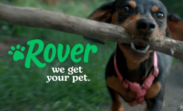 Dog Name Rover Rover celebrates every pet quirk and tail wag in campaign - Reel 360 News
